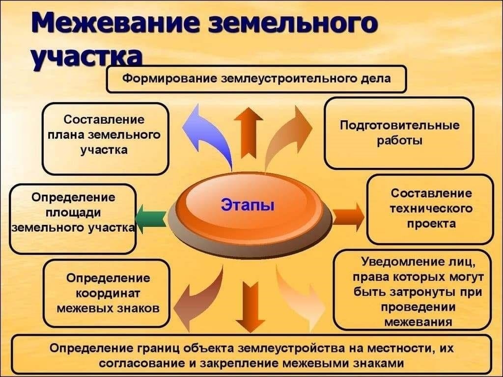 Основные этапы проведения межевания дачного участка