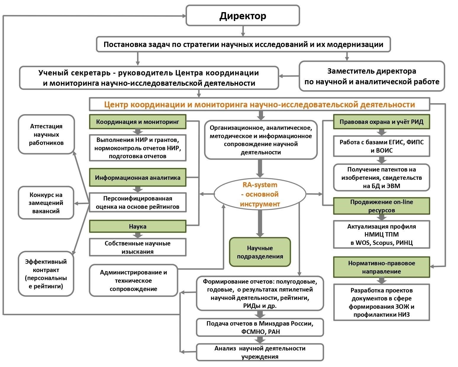 Основные направления деятельности и обязанности