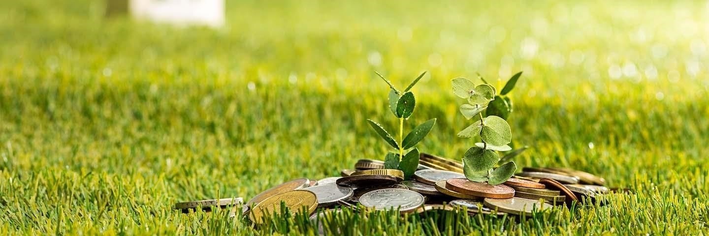 Виды и доступность кредитов под залог земельного участка