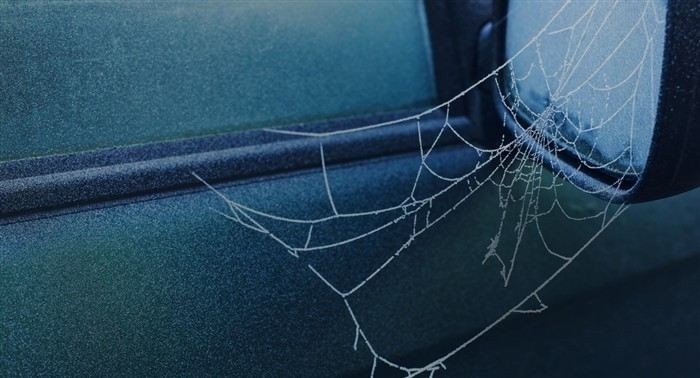 Точно ли страховщик не прав при отказе в выплате?