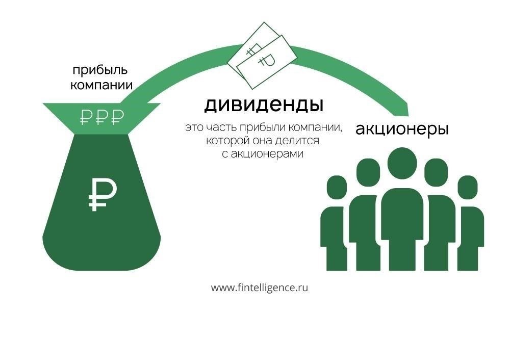 Что такое дивиденды и как они работают?