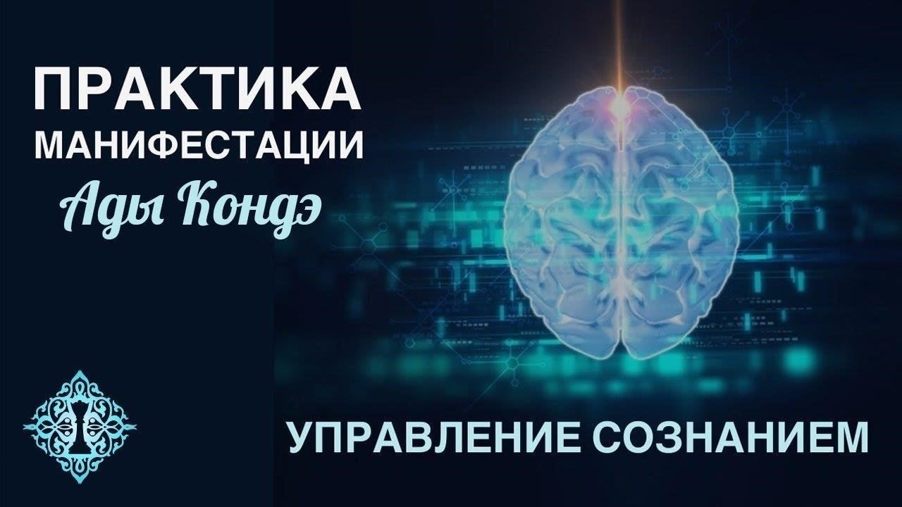 Чтобы повысить свои шансы на успех на аукционах Adesa или eCarsTrade, предварительно тщательно изучите каждый автомобиль. Обратите внимание на состояние, историю и любые следы предыдущих повреждений. Многие автомобили, представленные на этих площадках, являются бывшими в эксплуатации, поэтому проверка записей о техническом обслуживании автомобиля имеет решающее значение. Имейте в виду, что некоторые из них могли подвергаться минимальному техническому обслуживанию, поэтому внимательно осмотрите их на предмет наличия признаков, требующих внимания.