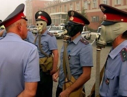 Стажировка в полиции