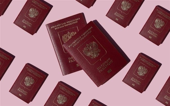 Сбор и подача заявления в территориальный отдел МВД