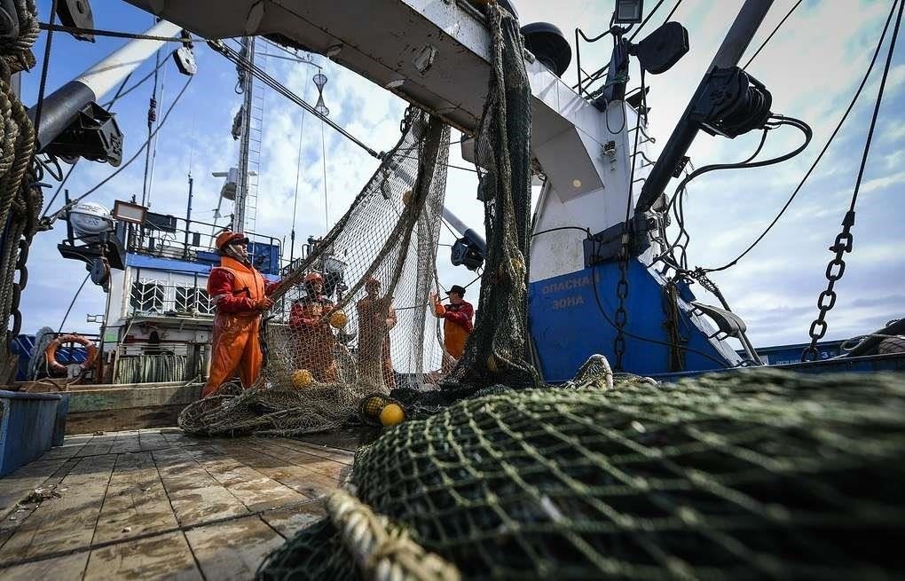 Финансовые последствия досрочного выхода на пенсию для моряков