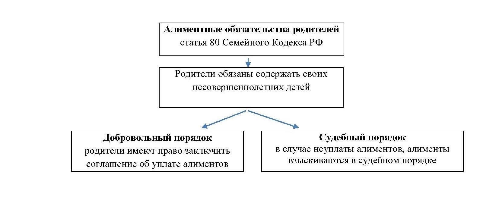 Юридические процедуры, применяемые в делах об алиментах, и их влияние на сроки рассмотрения