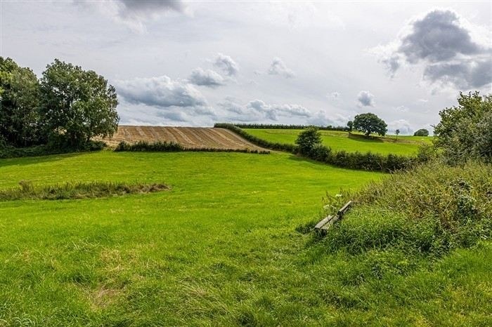 Публичный сервитут: что это такое и как установить?