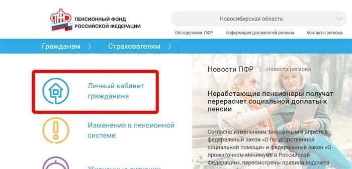 Способы проверки пенсионных накоплений