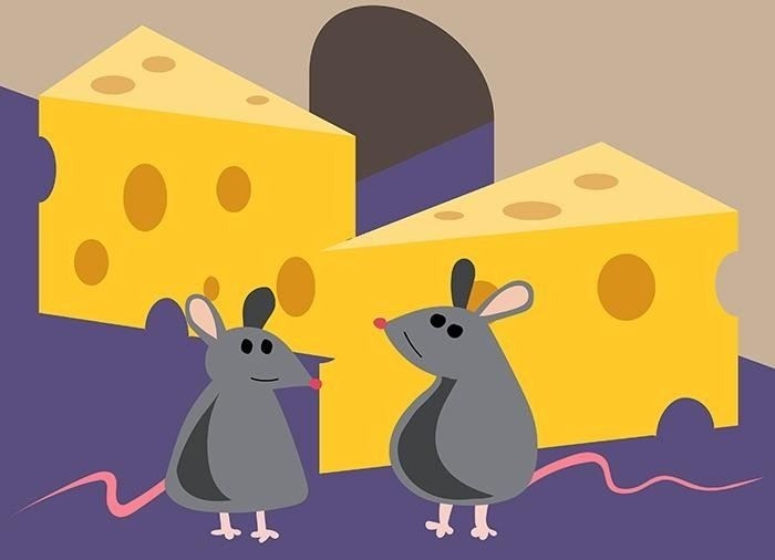 Раздел имущества с учетом интересов супруга: когда суд может отступить от поровну?