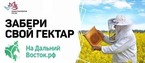 Какие документы требуются для расторжения брака через суд
