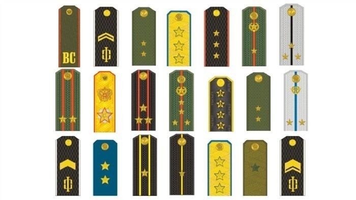 Младший командный состав: от младшего сержанта до старшины в армии РФ