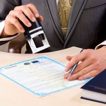 Какие сроки установлены для подачи жалобы?