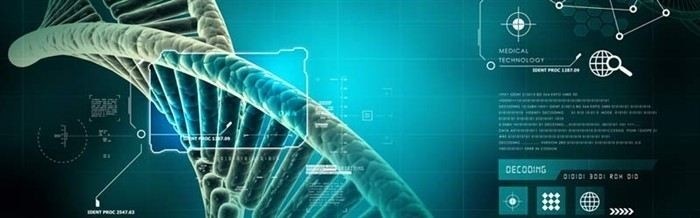 Как установить отцовство через суд: пошаговый процесс