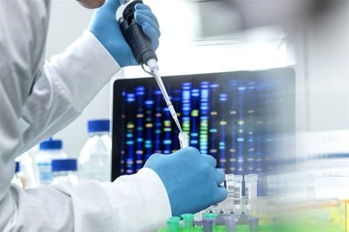 Добровольное установление отцовства: какие шаги предпринять?