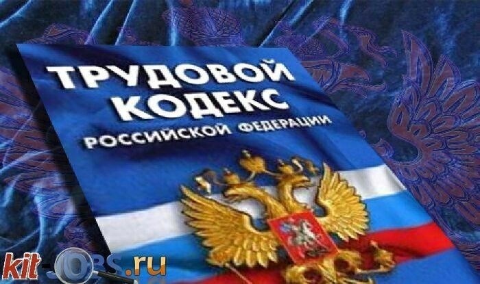 Практическое применение статьи 419 Трудового кодекса РФ: Ключевые соображения