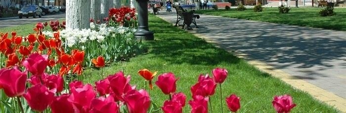 Права собственников земельных участков: что необходимо учитывать