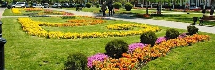 Земельное законодательство для арендаторов: что нужно знать