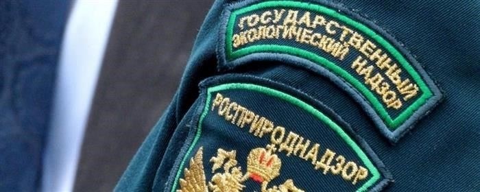 Проверка лицензии на сбор отходов
