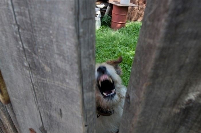 Как правильно оформить шапку и просительную часть документа при споре о праве прохода