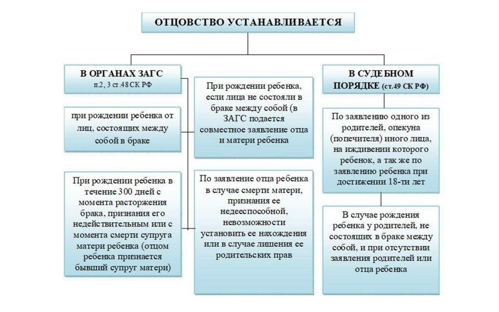 Шаги по установлению отцовства в суде: Подробное описание процесса