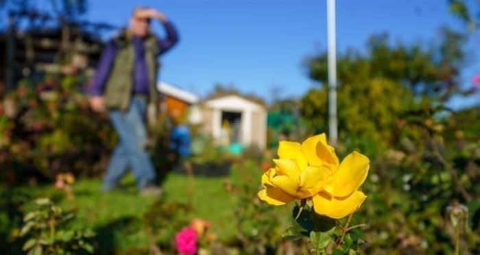 Какие еще выплаты не вычитаются из социальных пособий за долги?