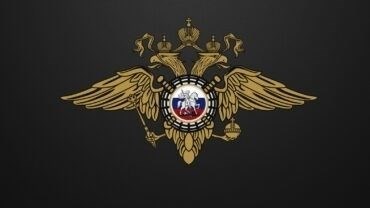 Время реакции на заявление в полицию: Как быстро они реагируют?