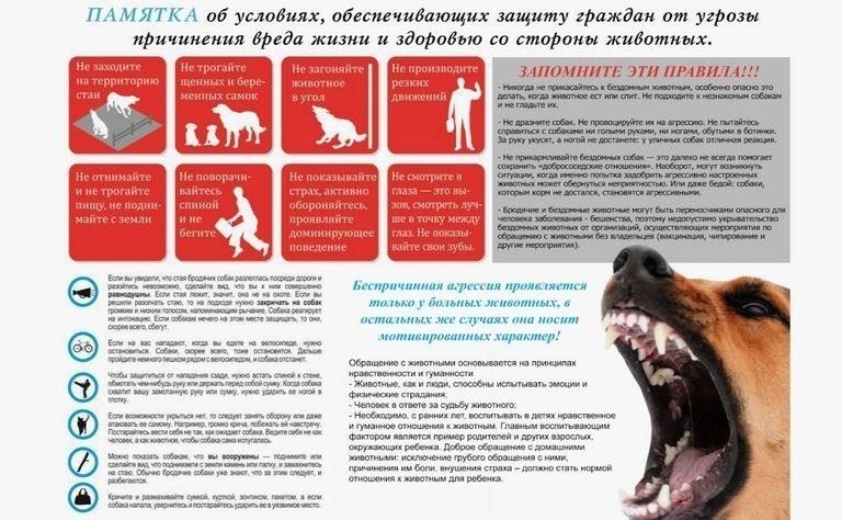Виды вреда, подпадающие под действие законов об ответственности владельцев домашних животных