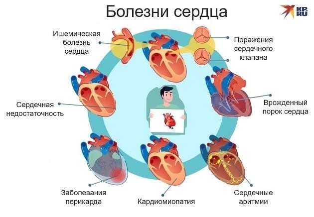Влияние на функцию сердца