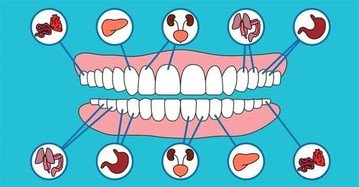 Рекомендации по питанию для улучшения здоровья зубов и десен у пациентов с ожирением